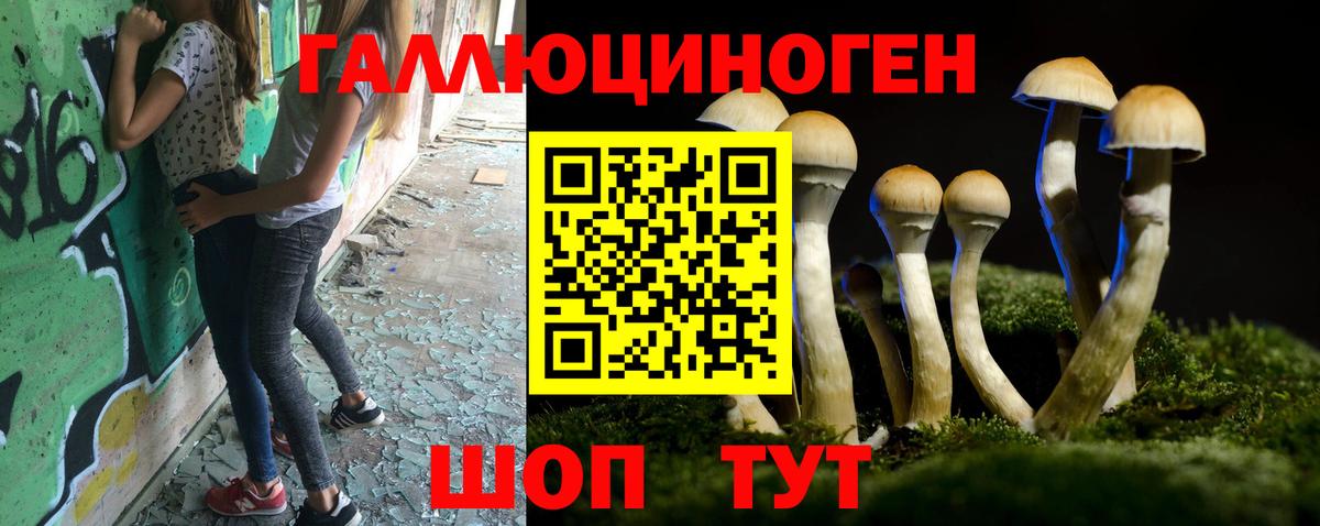 Псилоцибиновые грибы Psilocybine cubensis Ликино-Дулёво